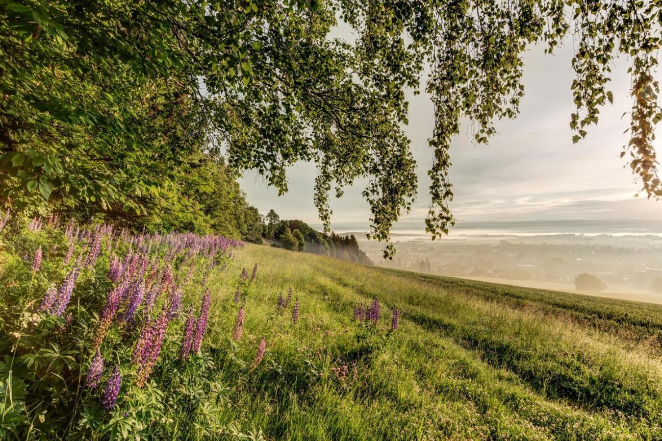 Wellness Apartmany Cesky Raj & Biokolna Lomnice nad Popelkou 외부 사진